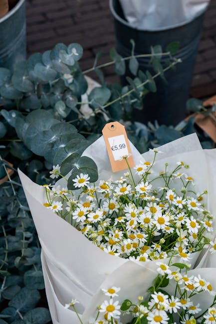A fresh floral bouquet featuring numerous small, white daisy-like flowers with bright yellow centers, arranged in white wrapping paper. The bouquet is complemented by eucalyptus leaves with silvery-gr